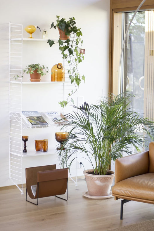 Makasiini lehtiteline Miiko