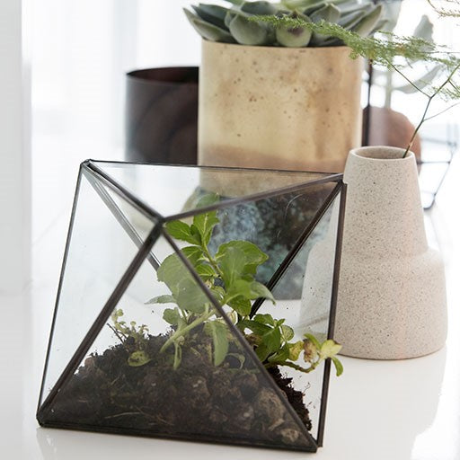 Plant terrarium Hübsch